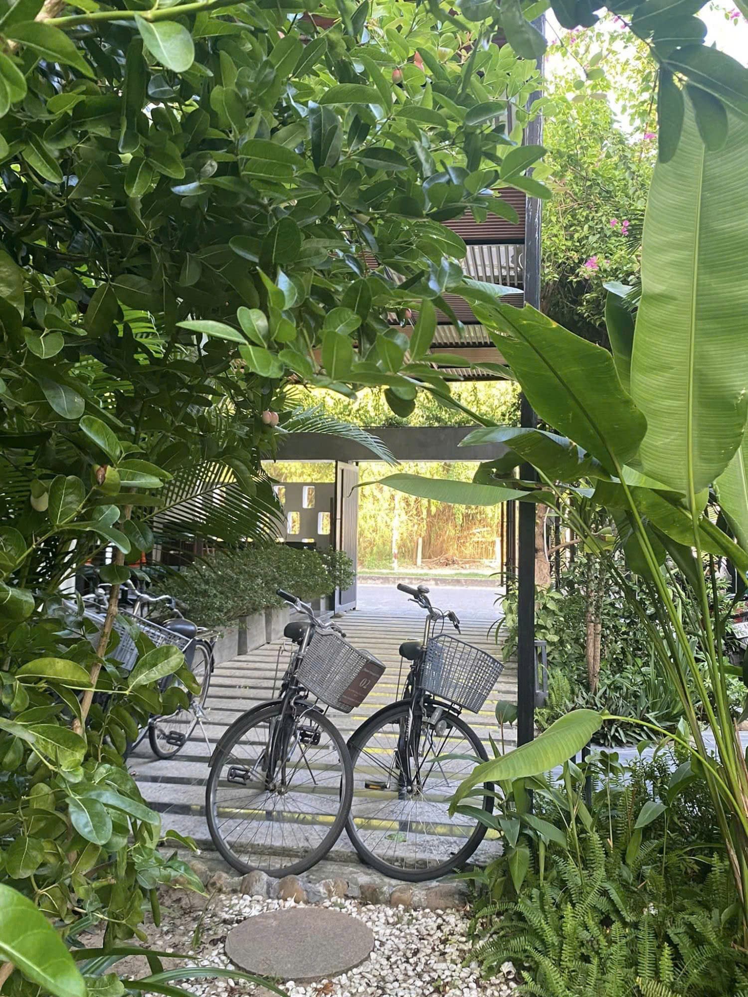 Free Bicycle Rental