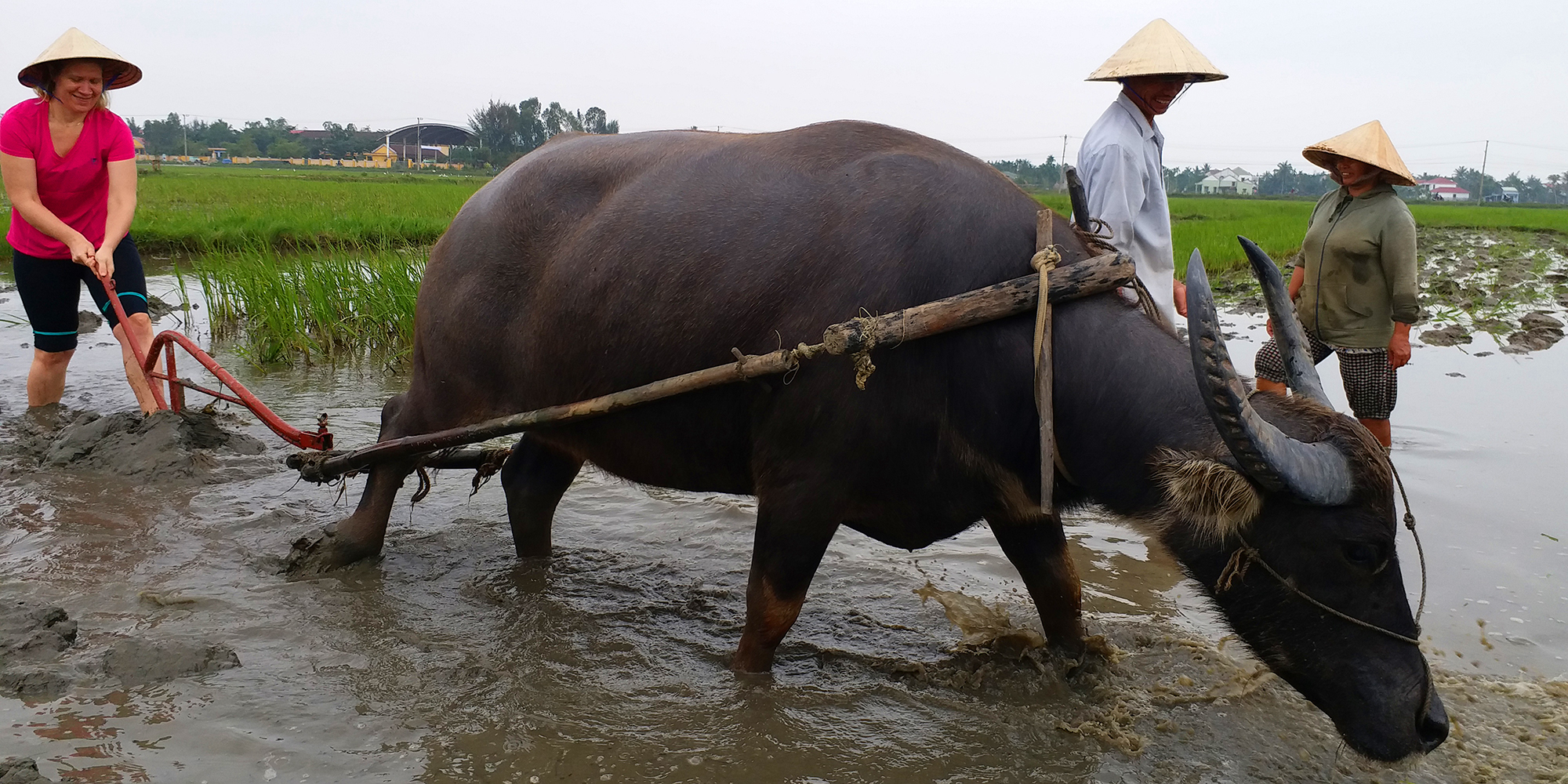 Hoi An basket boat tour river view