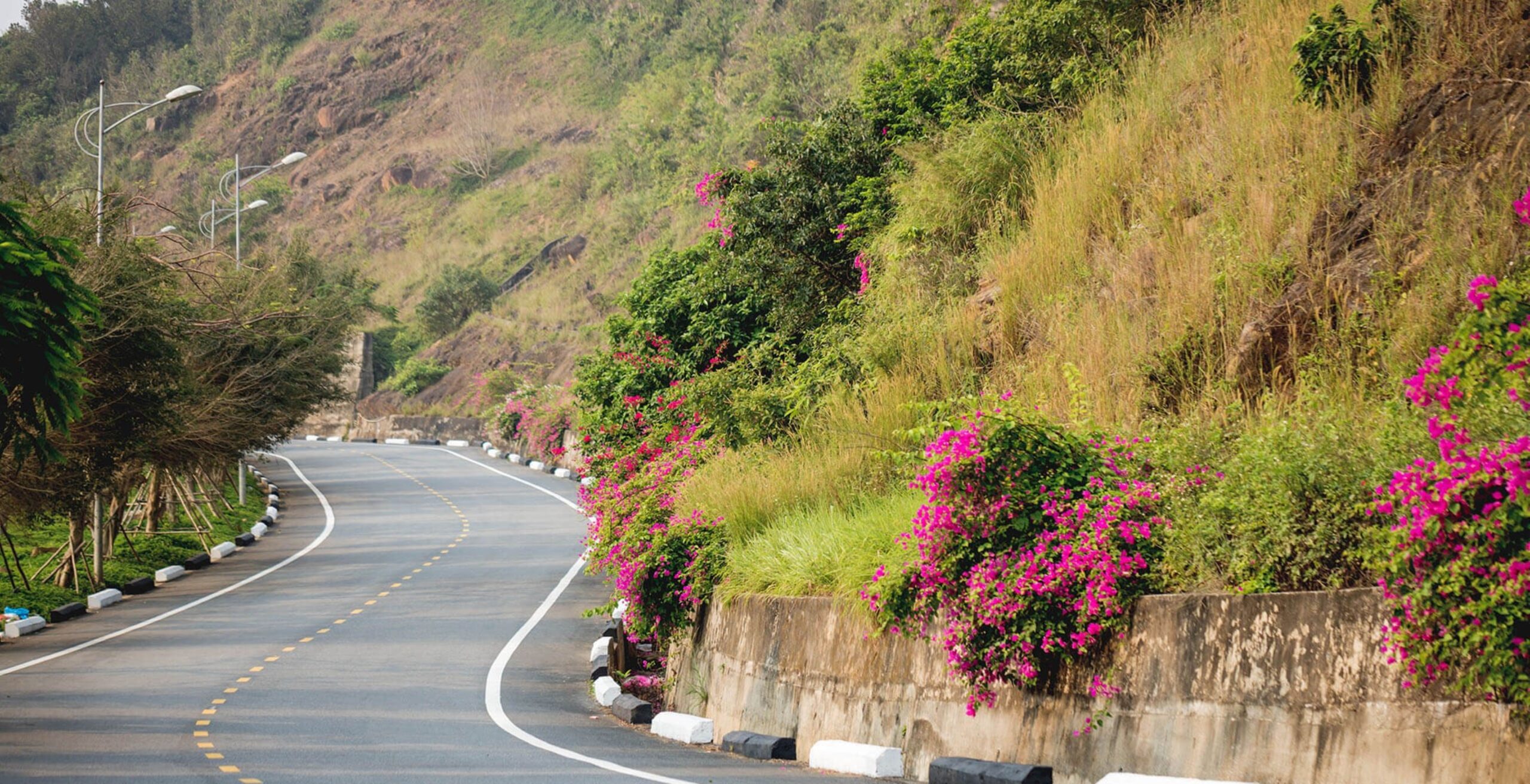 family travel private car Da Nang to Hoi An